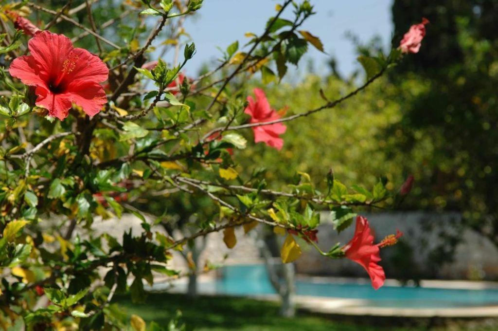 Villa Martha Spetses Town Екстер'єр фото